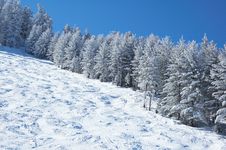 Mountain Ski Slope And Winter Forest Stock Image Mountain Ski Slope And Winter Forest Stock Image
