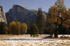 Fall Foliage At Yosemite Stock Photos