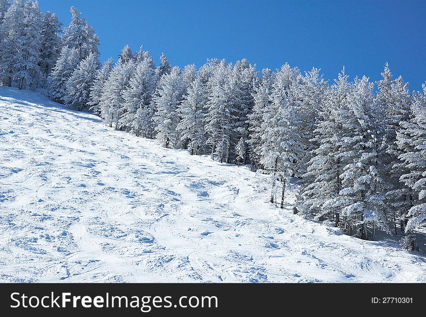 Mountain ski slope and winter forest