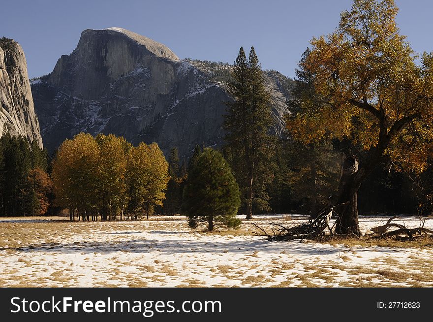 View of Yosemite medow with snow and fall foliage on trees in golden hues and dusted with snow. View of Yosemite medow with snow and fall foliage on trees in golden hues and dusted with snow