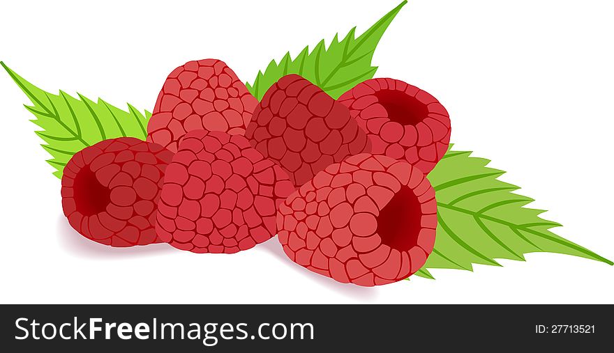 Fresh raspberries  on white background