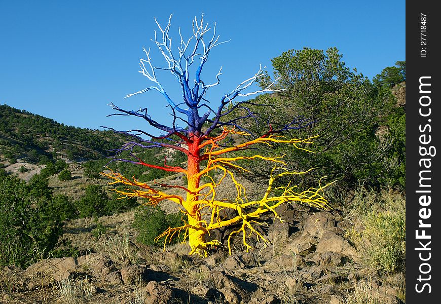 A painted dead tree found in the mountains. A painted dead tree found in the mountains