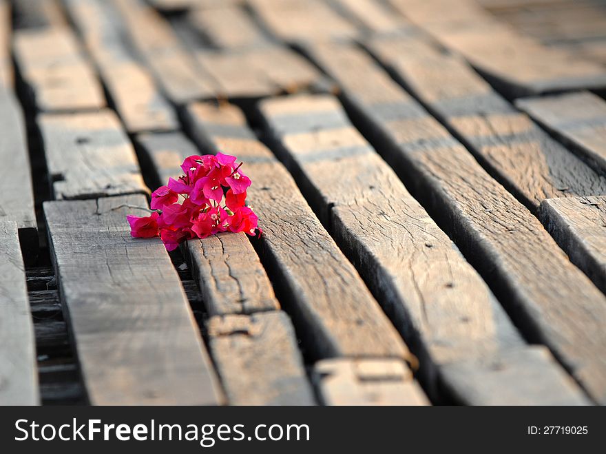 Bougainvillea [ Paper Flower] On The Wooden Floor.