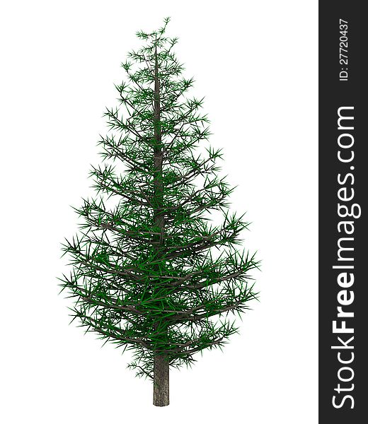 3D digital rendered illustration of christmas tree on white background. 3D digital rendered illustration of christmas tree on white background.