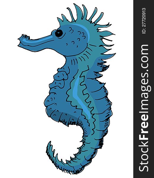 Hand drawn illustration of the seahorse on white