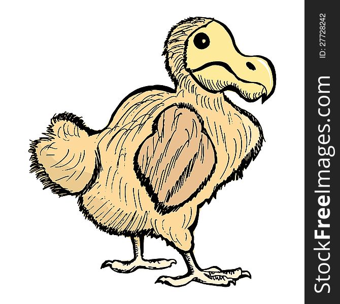 Hand drawn illustration of the dront, extinct bird