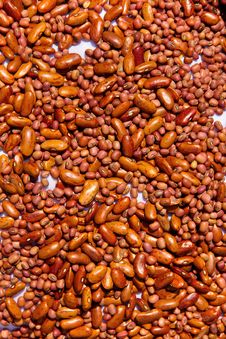 Kidney Bean Background Stock Photo Kidney Bean Background Stock Photo