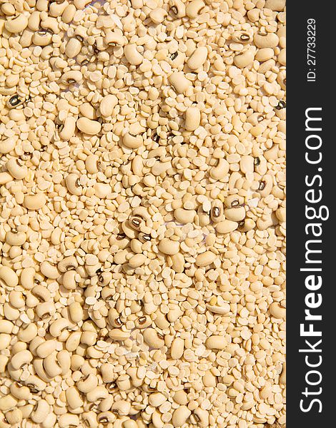 Image of soy bean background