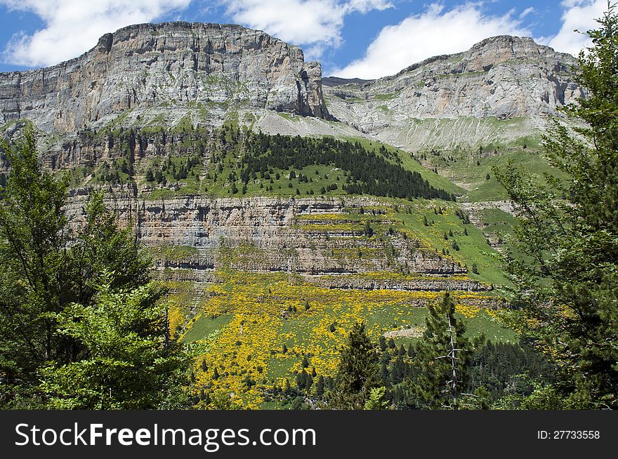 Summer landscape in the Pyrenees, Spain