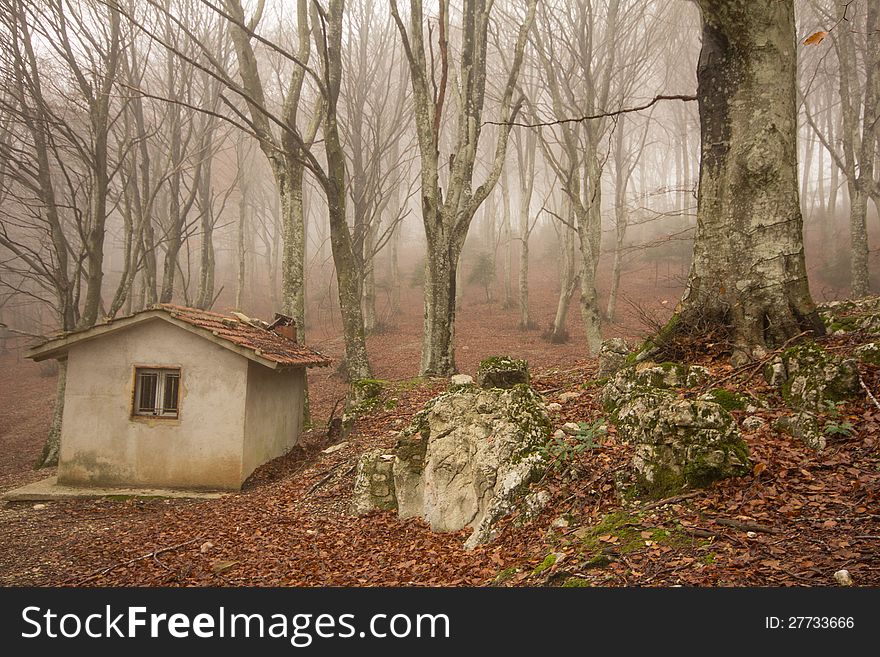 Little house in the forest in autumn