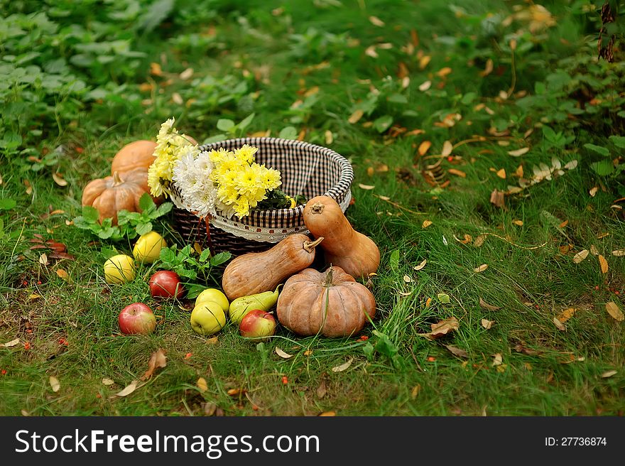 Colorful squash and mini pumpkins with fabric fall leaves for a harvest theme. Colorful squash and mini pumpkins with fabric fall leaves for a harvest theme