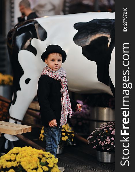 Child in a black coat and hat near the cows. Child in a black coat and hat near the cows