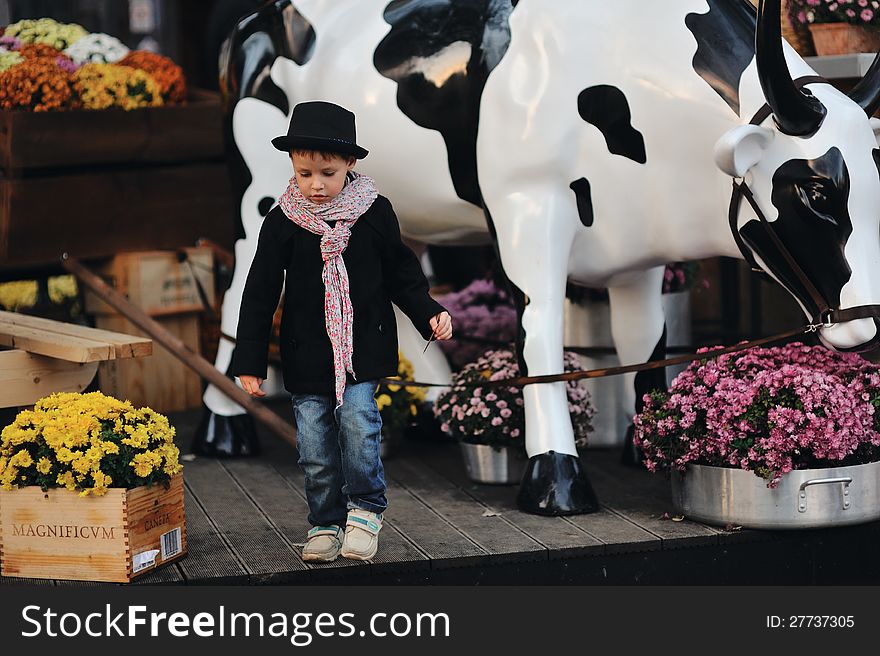 Child in a black coat and hat near the cows. Child in a black coat and hat near the cows