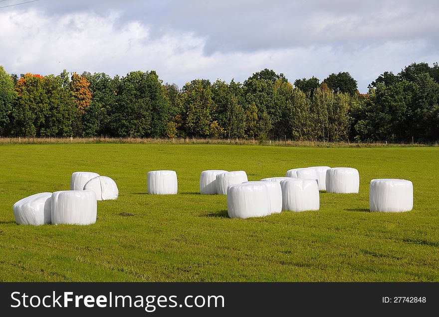 harvested field with straw bales in summer