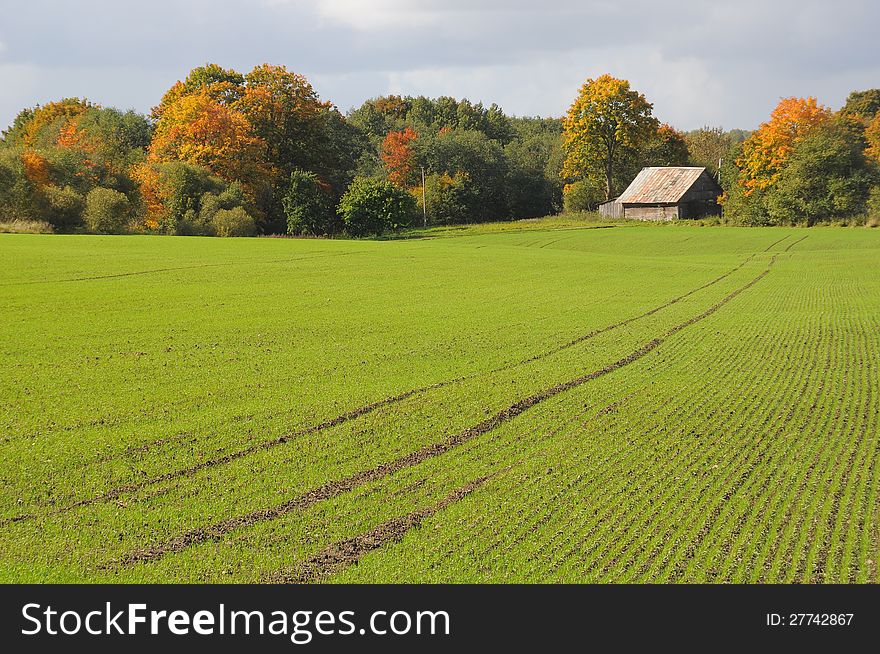 The house and field on a background of the sky. The house and field on a background of the sky