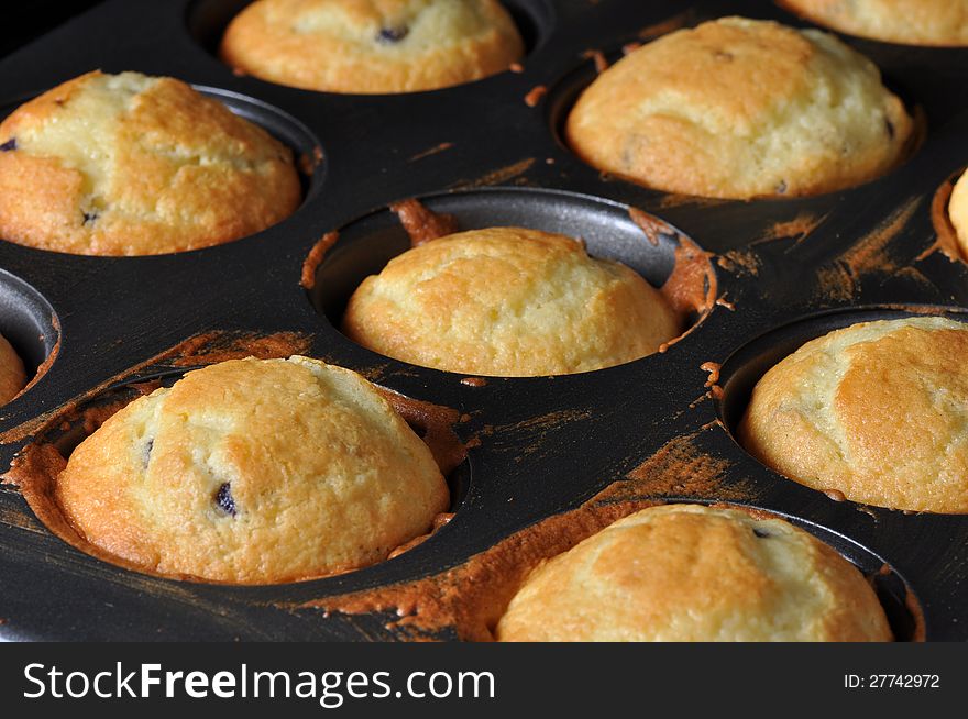 Fresh Blueberry Muffins in a tin right from the oven