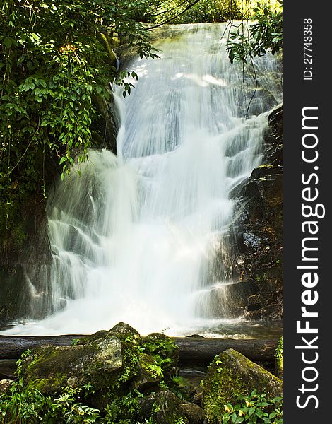 Beautiful waterfall from wild nature water creek forest. Beautiful waterfall from wild nature water creek forest.