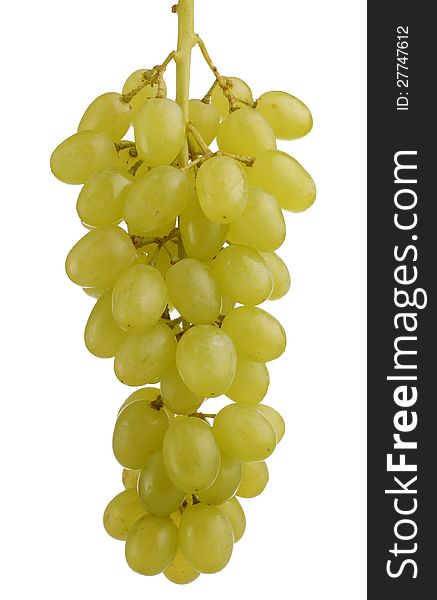 Branch of green grapes; sweet fruit