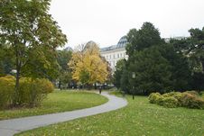 Path In The Autumn Park In The Center Of Vienna &x28;A Royalty Free Stock Images Path In The Autumn Park In The Center Of Vienna &x28;A Royalty Free Stock Images