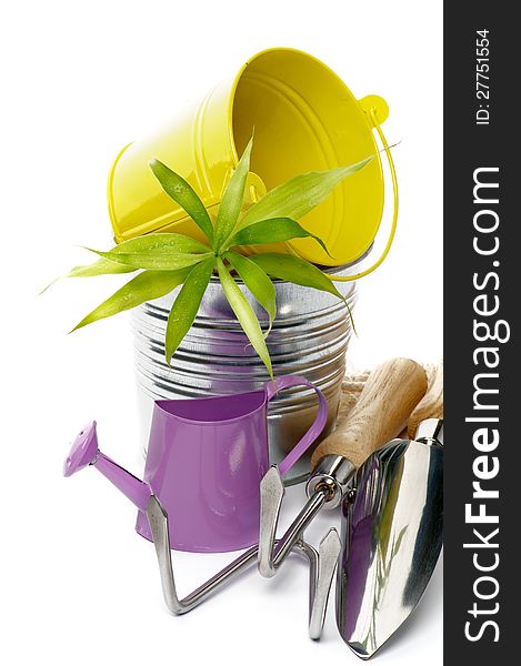 Watering Can with Gardening Tools, Tin and Yellow Buckets and Green Plant closeup on white background