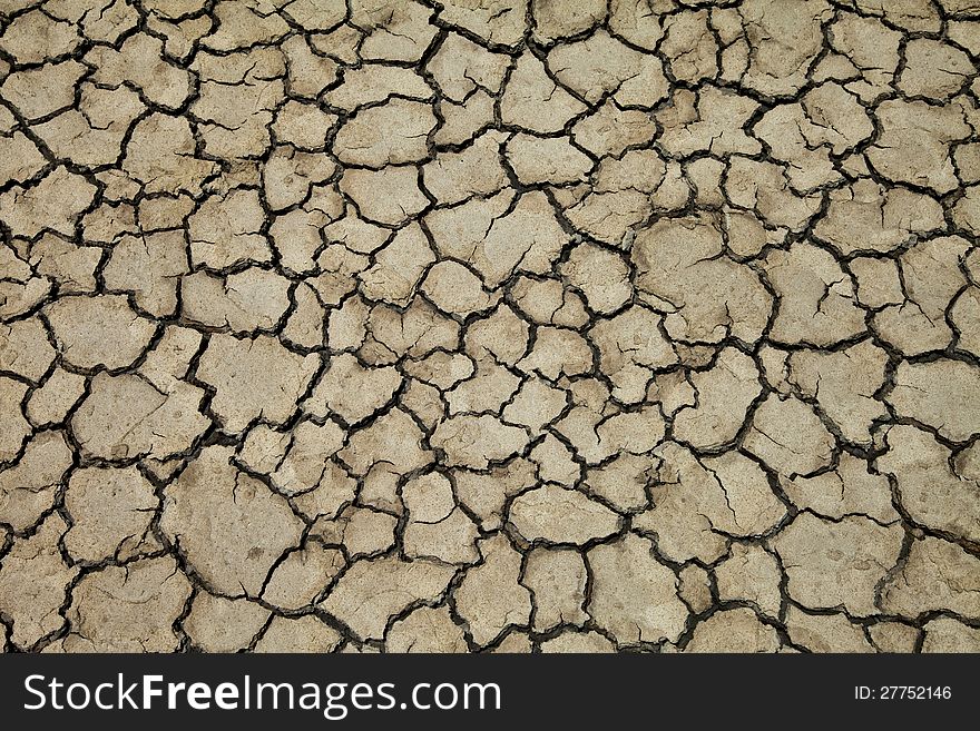 Dry ground in countryside Thailand