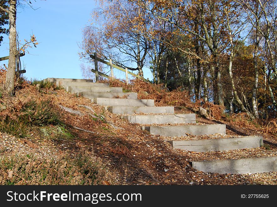 Wooden steps in rural woodland setting. Wooden steps in rural woodland setting