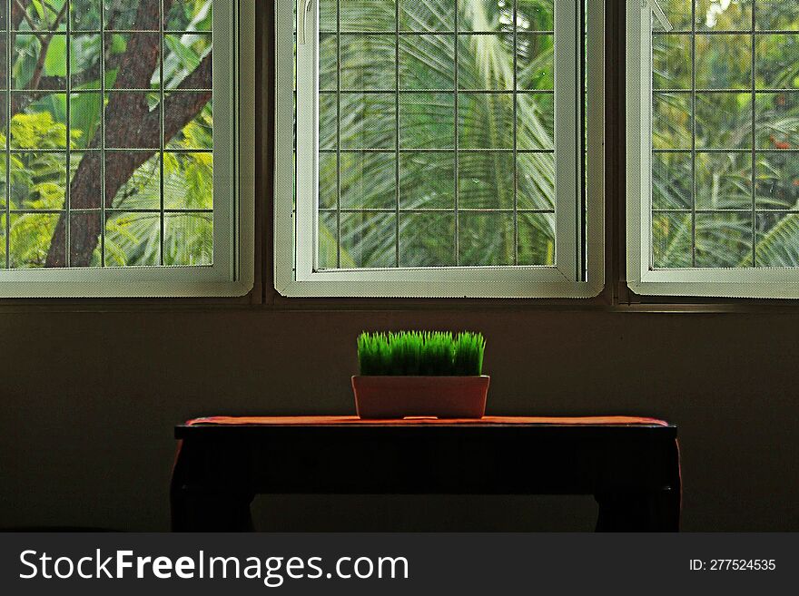 Green grass on table with window light