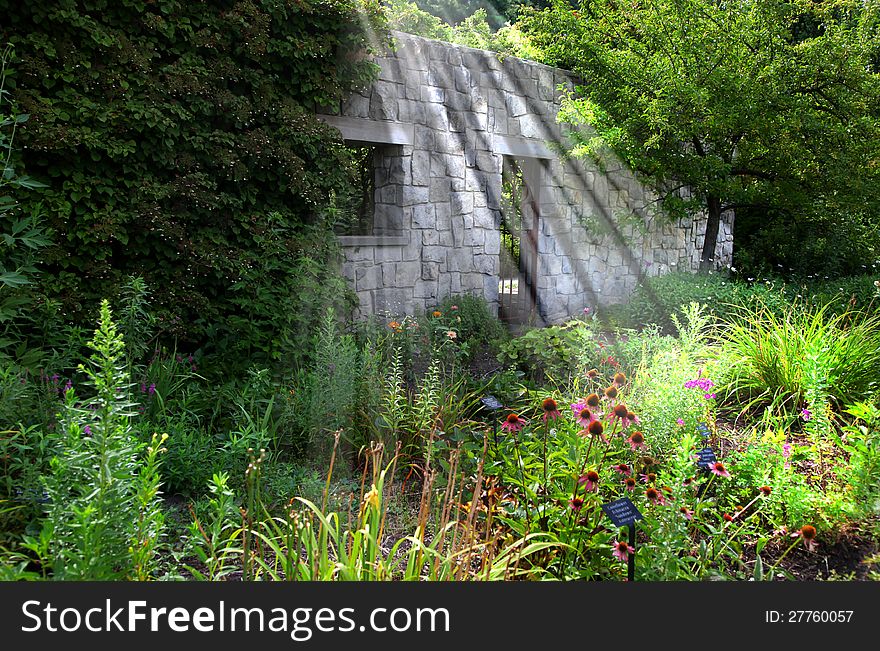 Beautiful flower garden under sun rays