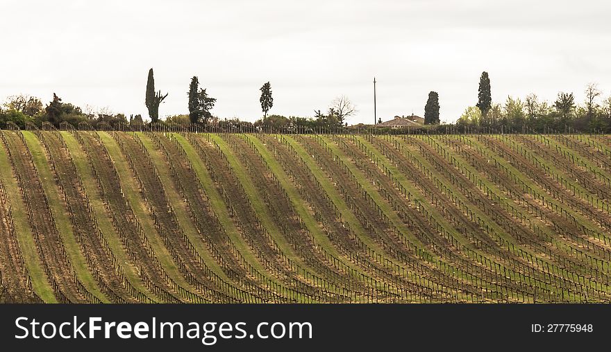 Farmland and countryside in Chianti, Tuscany, Italy