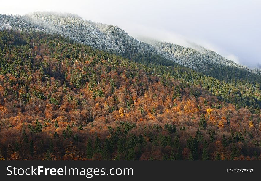 White frost on the toptrees in the mountains in autumn