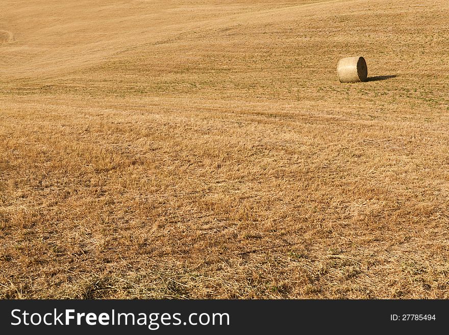 Background With Field