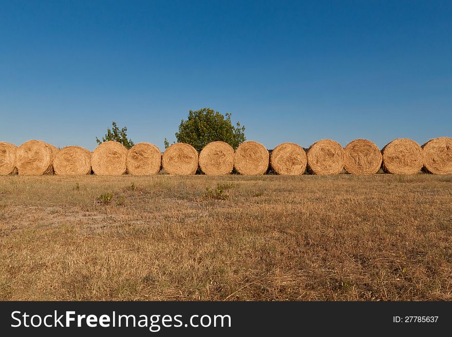 Row of bales of hay