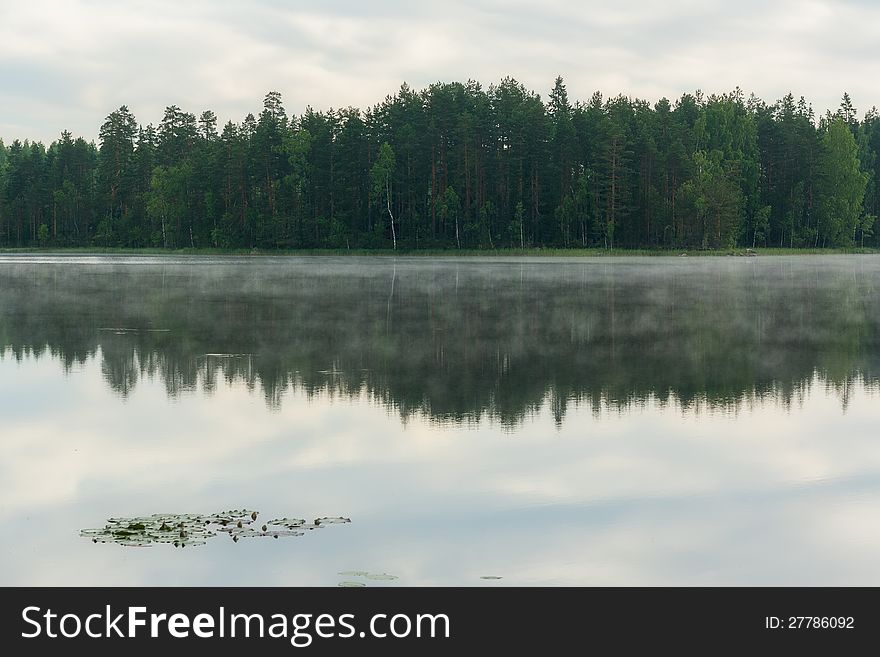 Reflection of forest in a lake in Finnish countryside