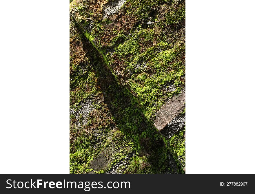 Moss growing on a rock that is photographed diagonally in sunlight. Moss growing on a rock that is photographed diagonally in sunlight