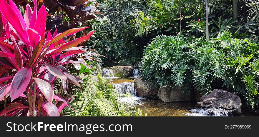 Nature, A Small Artificial Water Flow Is Surrounded By Plants And Flowers