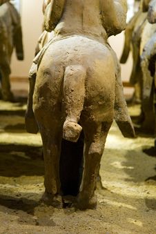 Horse S Arse Royalty Free Stock Photography