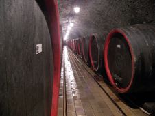 Wine Cellar Royalty Free Stock Photo Wine Cellar Royalty Free Stock Photo