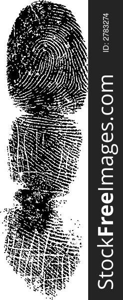 Full Finger FingerPrint (Very Detailed Vector Image). Full Finger FingerPrint (Very Detailed Vector Image)