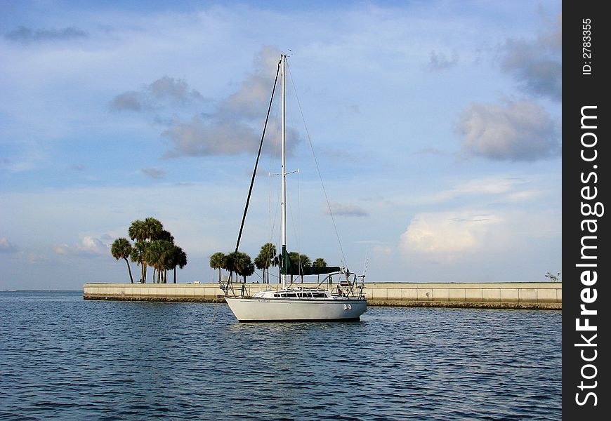 Sailboat close to land and marina with palm trees. Sailboat close to land and marina with palm trees.