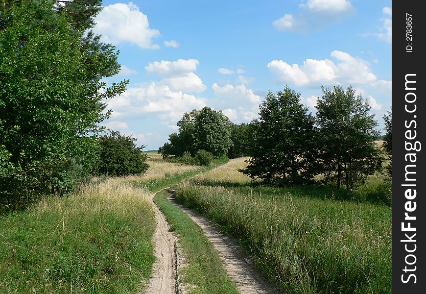 A road through a meadow. A road through a meadow