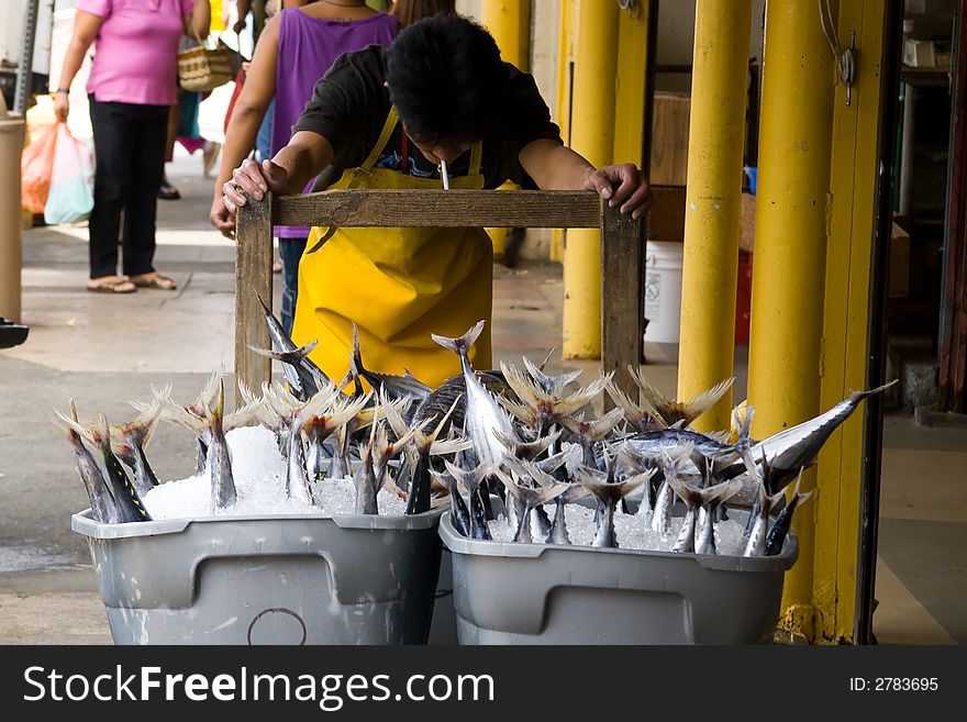 Worker pushing containers full of Yellowfin tuna. Worker pushing containers full of Yellowfin tuna