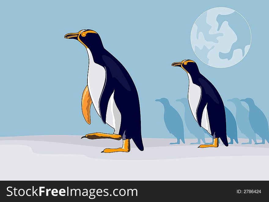 Vector art on the yellow eyed penguins. Vector art on the yellow eyed penguins