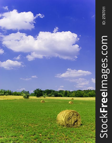 Agricultural landscape of hay bales in a field. Agricultural landscape of hay bales in a field