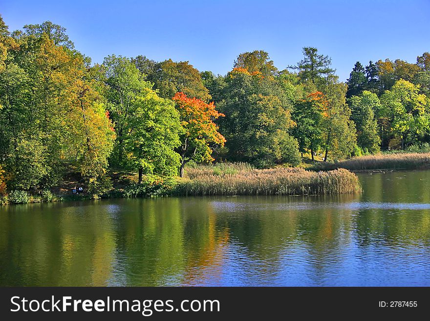 Autumn landscape with blue sky, trees and pond. Autumn landscape with blue sky, trees and pond