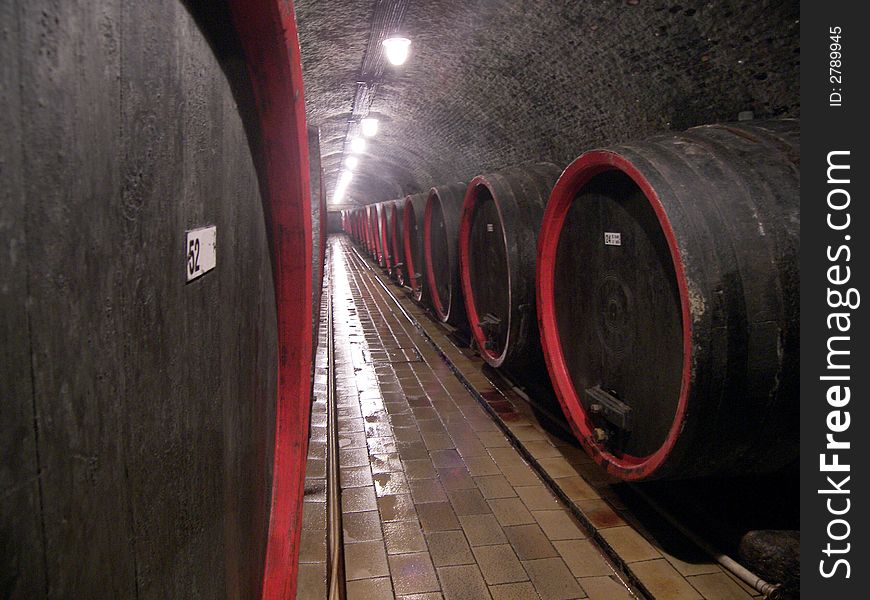 Wine Cellar