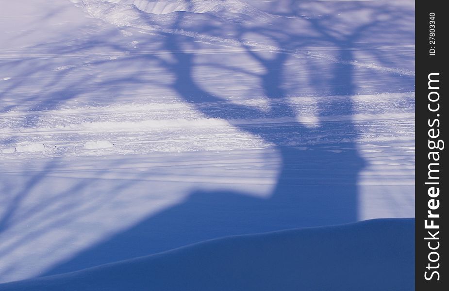 The dark blue shadow from a tree and houses falls on the snow ground. The dark blue shadow from a tree and houses falls on the snow ground