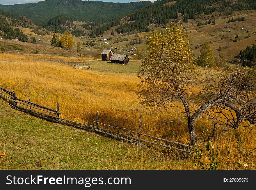 Meadow in the fall in Bucovina, Romania