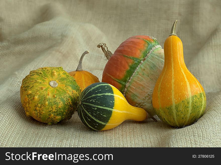 A group of different types of pumpkins