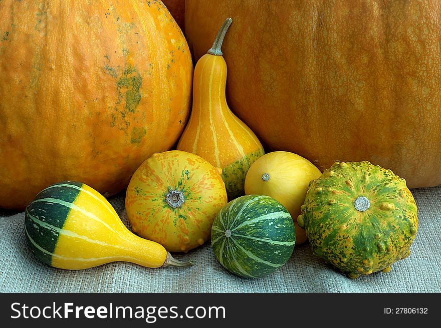 A group of different types of pumpkins