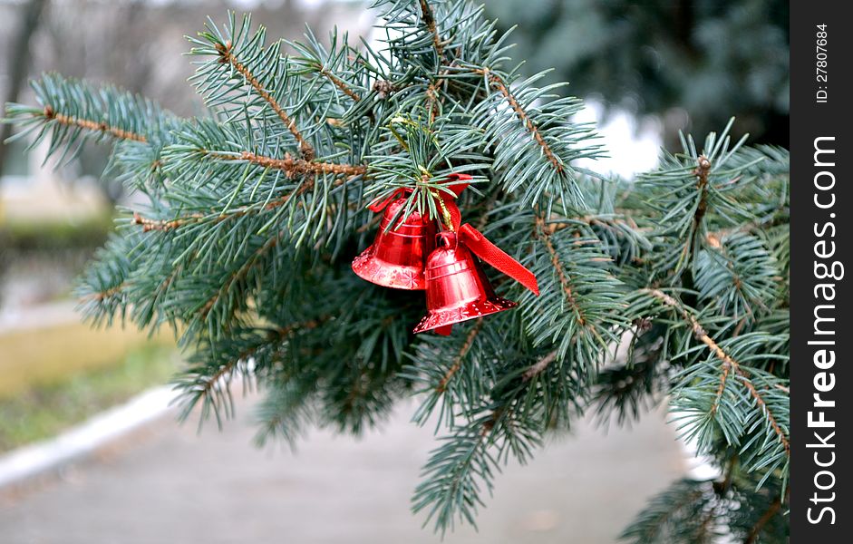 The photo shows a small festive red jingle bells on a branch of spruce in the park.
